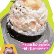 ヒメ日記 2025/09/07 08:19 投稿 みつり 吉祥寺ミセス・シンデレラ（シンデレラグループ）