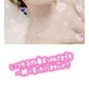 ヒメ日記 2025/09/09 09:44 投稿 みつり 吉祥寺ミセス・シンデレラ（シンデレラグループ）