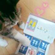 ヒメ日記 2025/11/16 17:45 投稿 みつり 吉祥寺ミセス・シンデレラ（シンデレラグループ）