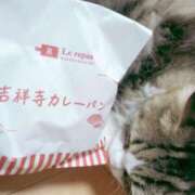 ヒメ日記 2025/12/08 08:50 投稿 みつり 吉祥寺ミセス・シンデレラ（シンデレラグループ）