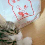 ヒメ日記 2025/12/21 17:30 投稿 みつり 吉祥寺ミセス・シンデレラ（シンデレラグループ）