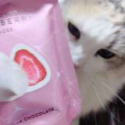 ヒメ日記 2026/01/27 17:34 投稿 みつり 吉祥寺ミセス・シンデレラ（シンデレラグループ）