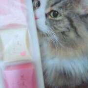 ヒメ日記 2026/02/01 23:22 投稿 みつり 吉祥寺ミセス・シンデレラ（シンデレラグループ）