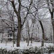 ヒメ日記 2026/02/08 19:21 投稿 みつり 吉祥寺ミセス・シンデレラ（シンデレラグループ）