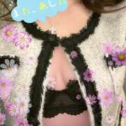 ヒメ日記 2025/11/23 21:20 投稿 まきせ 小田原人妻城