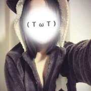 ヒメ日記 2026/02/12 15:25 投稿 椎名えみか 五反田ヒーローズ（ユメオト）