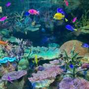 ヒメ日記 2025/09/26 17:30 投稿 つばさ 無我（むが）