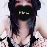 ヒメ日記 2025/10/10 12:48 投稿 つばさ 無我（むが）