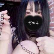 ヒメ日記 2025/10/14 16:21 投稿 つばさ 無我（むが）