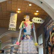 ヒメ日記 2025/10/17 15:37 投稿 つばさ 無我（むが）