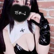 ヒメ日記 2025/10/31 01:19 投稿 つばさ 無我（むが）