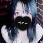 ヒメ日記 2025/11/04 21:00 投稿 つばさ 無我（むが）