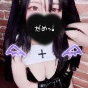 ヒメ日記 2025/11/04 22:01 投稿 つばさ 無我（むが）