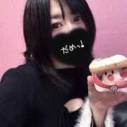 ヒメ日記 2025/11/25 19:01 投稿 つばさ 無我（むが）