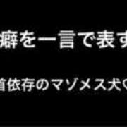 ヒメ日記 2025/11/29 00:21 投稿 つばさ 無我（むが）