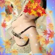 ヒメ日記 2025/09/24 07:50 投稿 さなえ 厚木人妻城