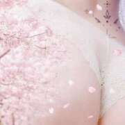 ヒメ日記 2026/03/24 09:05 投稿 さなえ 厚木人妻城