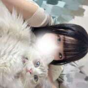 ヒメ日記 2025/09/13 16:05 投稿 雪音はつね ラブアイドル