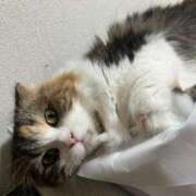 ヒメ日記 2025/09/14 10:13 投稿 雪音はつね ラブアイドル