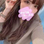 ヒメ日記 2026/02/10 18:39 投稿 れい アラビアンナイト