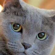 ヒメ日記 2026/01/16 23:05 投稿 なほ 性腺熟女100％鶯谷（デリヘル市場）