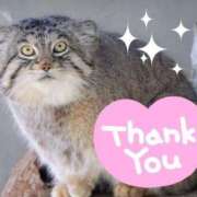 ヒメ日記 2025/08/17 03:26 投稿 さや One More 奥様　西船橋店