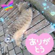 ヒメ日記 2025/08/22 06:20 投稿 さや One More 奥様　西船橋店