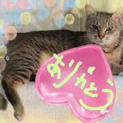 ヒメ日記 2025/08/22 06:26 投稿 さや One More 奥様　西船橋店