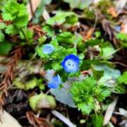 ヒメ日記 2026/03/21 18:12 投稿 ろびんそん 熟女の風俗最終章 沼津店