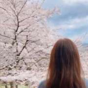 ヒメ日記 2026/03/31 12:58 投稿 ろびんそん 熟女の風俗最終章 沼津店