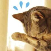 ろびんそん 大変申し訳ないのですが… 熟女の風俗最終章 沼津店