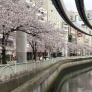 咲蓮(えれん) 6日出勤しています♡ Chaleur (シャルール)