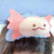 ヒメ日記 2025/09/13 11:17 投稿 れんか 40分6400円 回春性感メンズエステ猫の手 名古屋駅／納屋橋