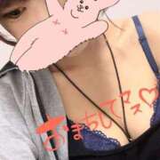 ヒメ日記 2025/09/20 12:46 投稿 なつき 新潟市鳥屋野潟ちゃんこ