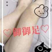 ヒメ日記 2025/10/11 12:06 投稿 なつき 新潟市鳥屋野潟ちゃんこ