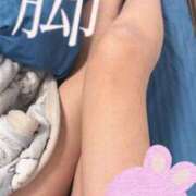 ヒメ日記 2025/10/19 07:40 投稿 なつき 新潟市鳥屋野潟ちゃんこ