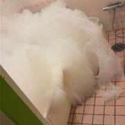 ヒメ日記 2025/11/03 12:04 投稿 なつき 新潟市鳥屋野潟ちゃんこ