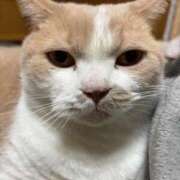 ヒメ日記 2025/11/04 14:36 投稿 なつき 新潟市鳥屋野潟ちゃんこ