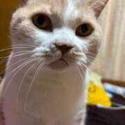 ヒメ日記 2025/11/06 10:46 投稿 なつき 新潟市鳥屋野潟ちゃんこ