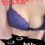 ヒメ日記 2025/11/11 10:56 投稿 なつき 新潟市鳥屋野潟ちゃんこ