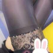 ヒメ日記 2025/11/11 19:06 投稿 なつき 新潟市鳥屋野潟ちゃんこ