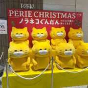 ヒメ日記 2025/11/15 07:26 投稿 なつき 新潟市鳥屋野潟ちゃんこ