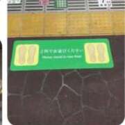 ヒメ日記 2025/11/15 12:06 投稿 なつき 新潟市鳥屋野潟ちゃんこ