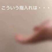 ヒメ日記 2025/11/16 17:56 投稿 なつき 新潟市鳥屋野潟ちゃんこ