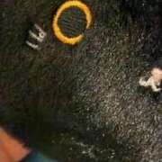 ヒメ日記 2025/11/19 00:16 投稿 なつき 新潟市鳥屋野潟ちゃんこ