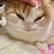 ヒメ日記 2025/11/26 10:26 投稿 なつき 新潟市鳥屋野潟ちゃんこ