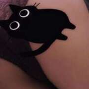 ヒメ日記 2025/11/29 10:36 投稿 なつき 新潟市鳥屋野潟ちゃんこ