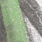 なつき わあー 新潟市鳥屋野潟ちゃんこ