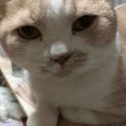 ヒメ日記 2025/12/15 22:36 投稿 なつき 新潟市鳥屋野潟ちゃんこ