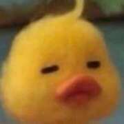 ヒメ日記 2025/12/18 08:56 投稿 なつき 新潟市鳥屋野潟ちゃんこ